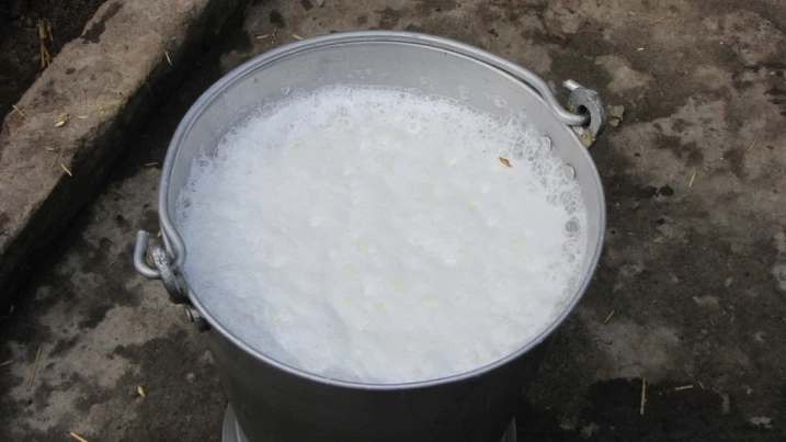 حليب مشروب مبستر - حليب بقري