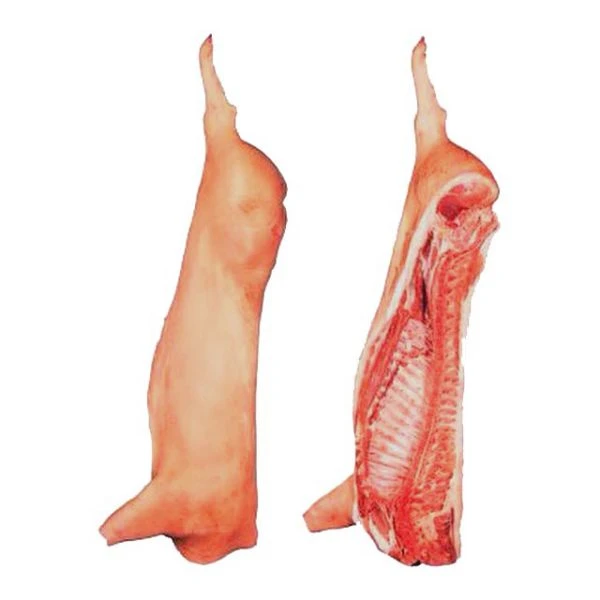 Frozen Pork Meat Category 1 in Half Carcasses