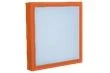Explosion-Proof Lighting Fixture Practik 30 1Ex 03-030-001 IP65
