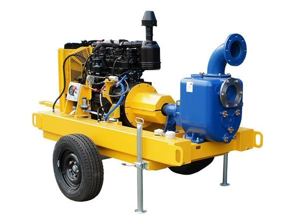 High-Performance MD Water Pump for Efficient Water Transfer