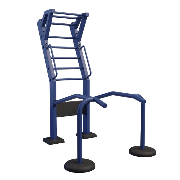 Verticalizer Training Device for Physical Development