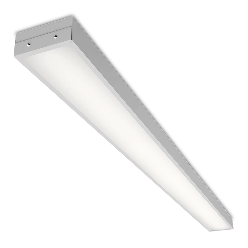 WOLTA PRO GIMNAZIST DPO02-54-101-5K Matte 54W 5000K IP40