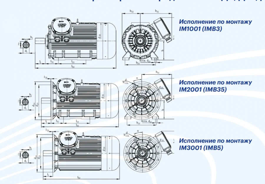 DA 250 Three-Phase Induction Motor 75 kW