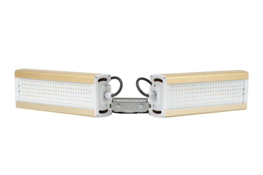 LED Light Module GOLD, Checkmark GL, 3000K, 124W