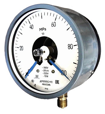 Signal Pressure Gauges DM2005C