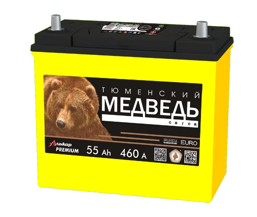 Lead Acid Starter Battery for Internal Combustion Engines 12V 55Ah Tyumen Bear 6ST-55VLA
