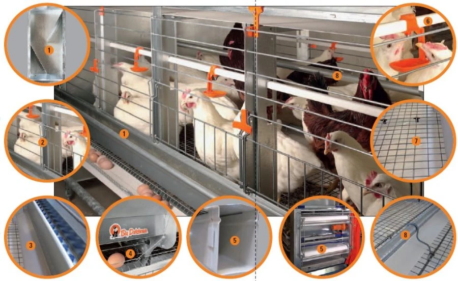 معدات الدواجن لقطعان الدجاج البياض الأمهات، نموذج EV-P 1250