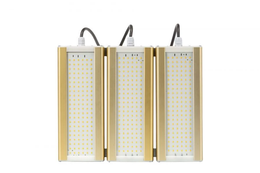 وحدة إضاءة LED الذهبية، عالمية U-3، 4000 كلفن، 144 واط