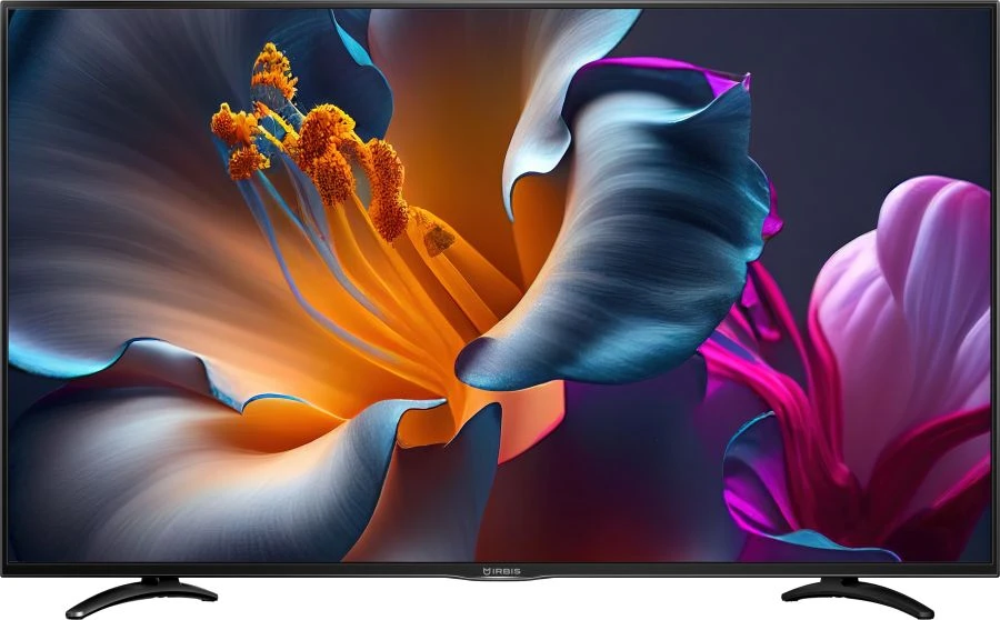 تلفاز ملون بشاشة LCD مقاس 55 بوصة IRBIS MIR 55 (RLGY.463267.05)