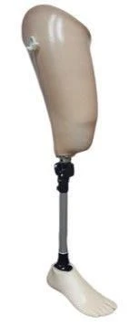 Therapeutic Training Hip Prosthesis