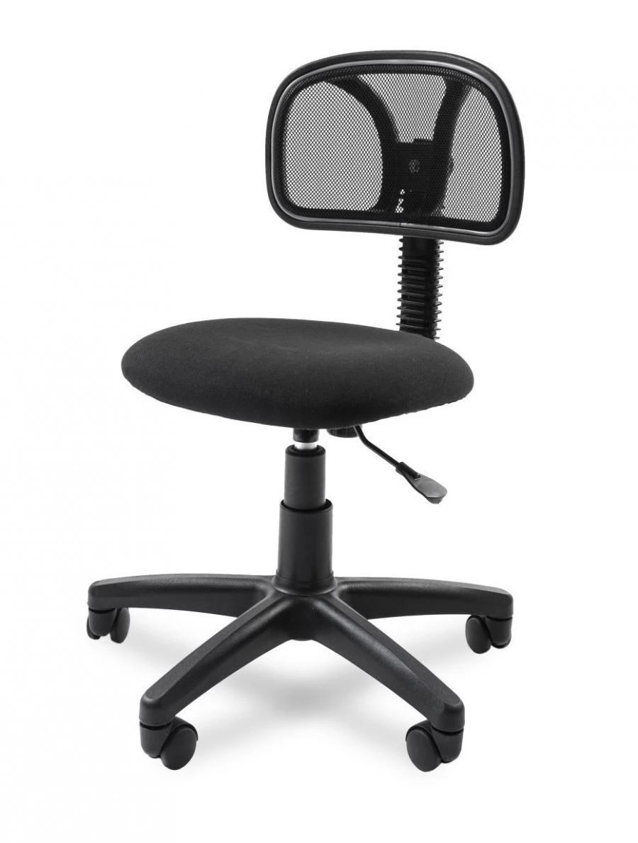 CHAIRMAN 250 Ergonomic Office Chair with Metal Frame
