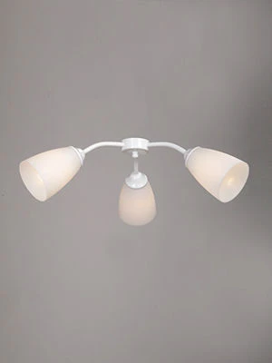 ضوء عام ثابت V3187/3PL