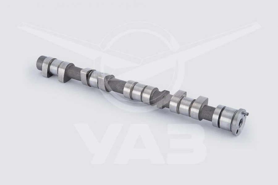 Intake Valve Camshaft for UAZ Patriot 2018+, Model 409051100601100