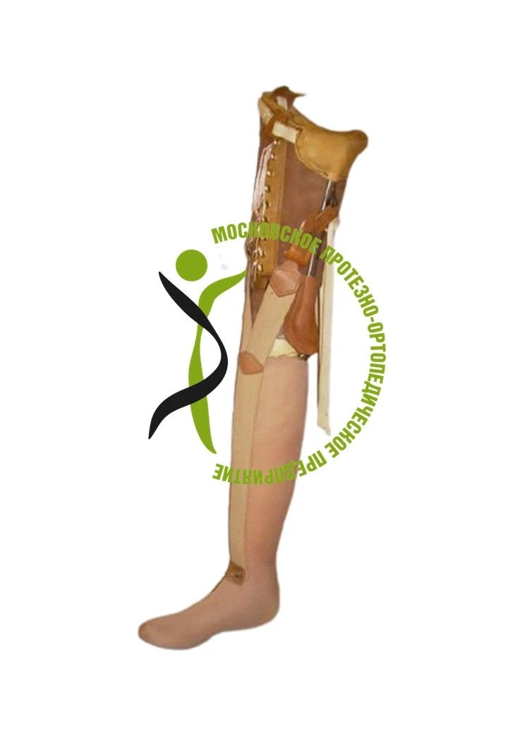 Non-Modular Hip Prosthesis PN6-M-N