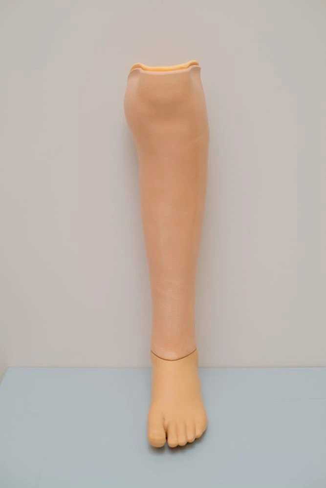 Modular Bathing Prosthesis for Lower Leg