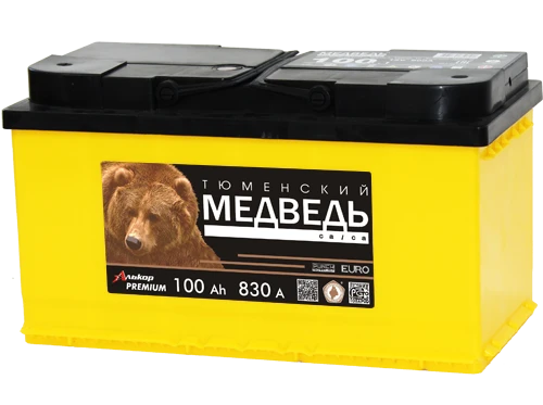Lead-Acid Starter Battery for Internal Combustion Engines 12V 100Ah Tyumen Bear