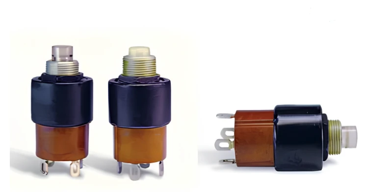 Two-Pole Push Button Switch 2KNR with Normally Open Contacts