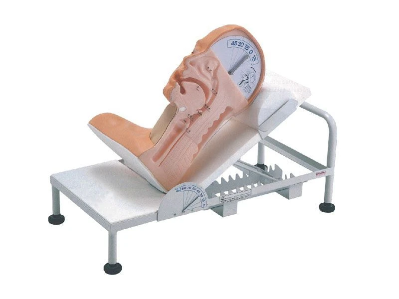 نموذج عرض وضع الرأس 85
