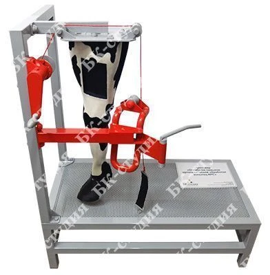 Veterinary Skills Training Simulator for Hoof Trimming and Abscess Treatment