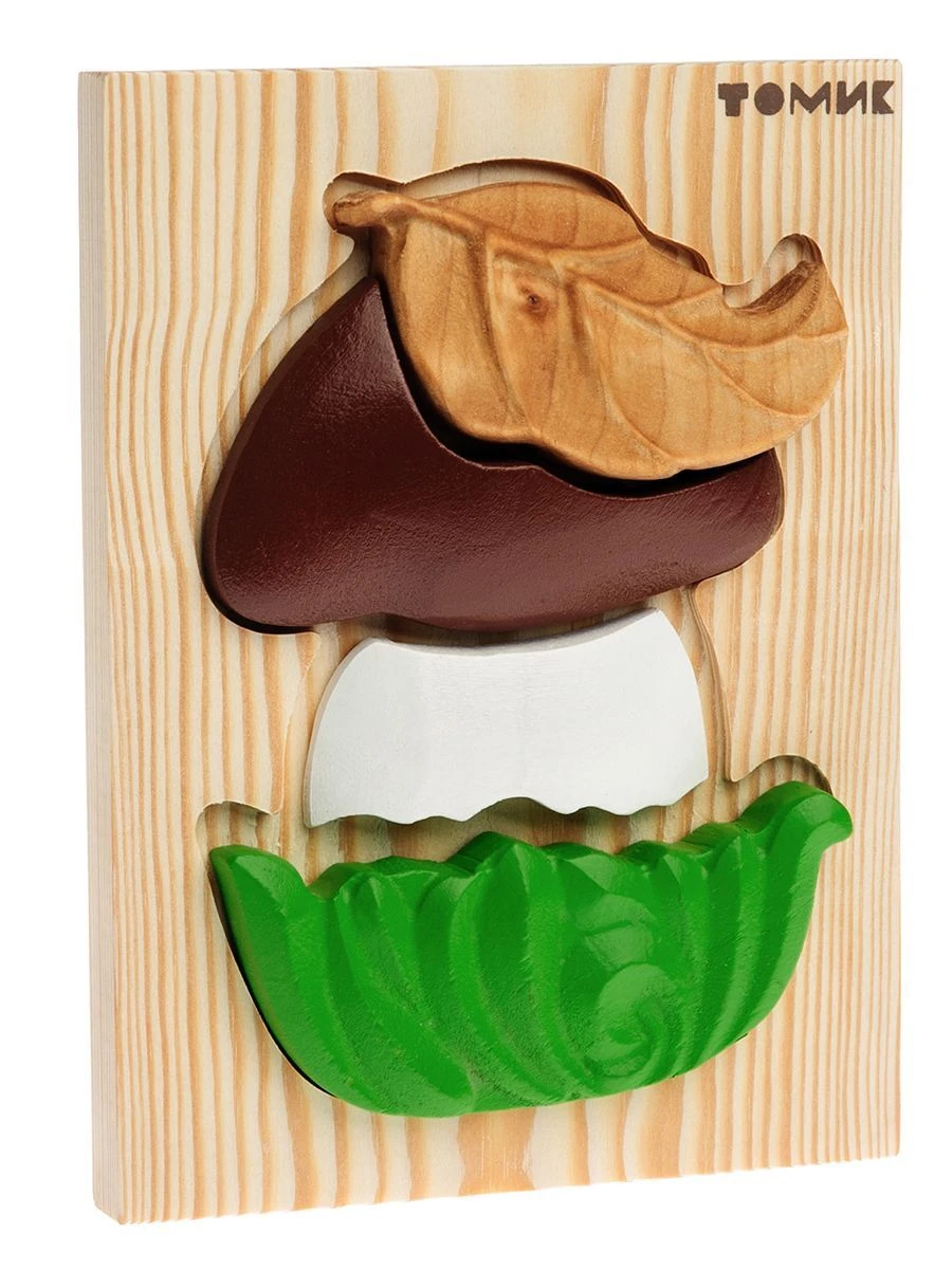 أحجية فطرية من 5 قطع، رقم 422