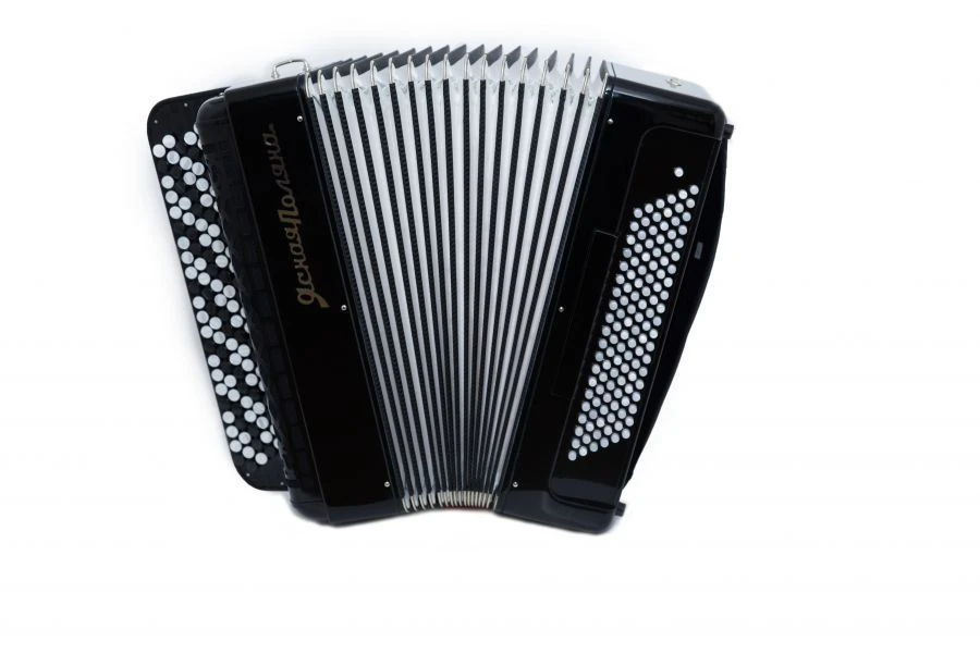 Handcrafted Concert Bayan "Yasnaya Polyana" 112/67x120/57-II
