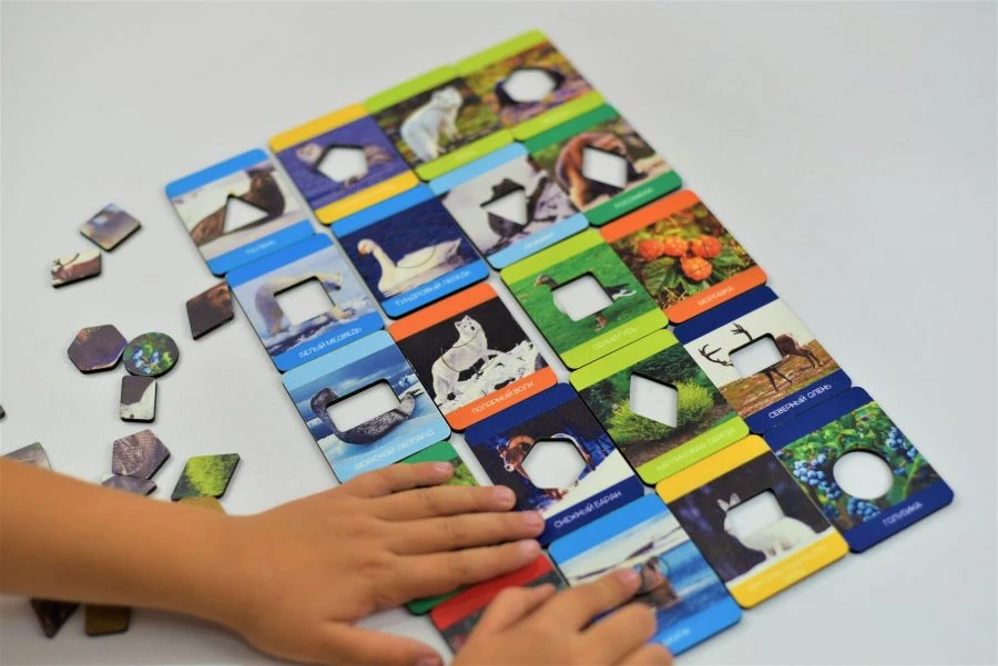 Northern Animal and Plant World Educational Game Set (Segena Method)