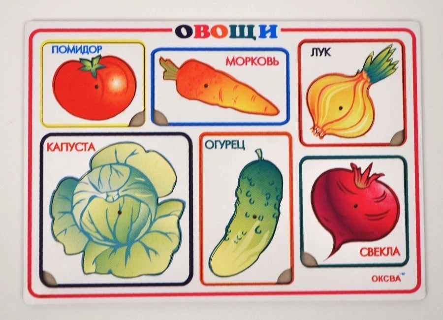 Vegetable Insertion Frames Educational Toy Set