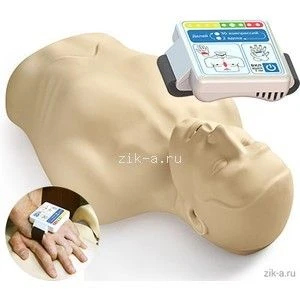 نموذج torso لإنعاش القلب مع جهاز تحكم كهربائي خارجي