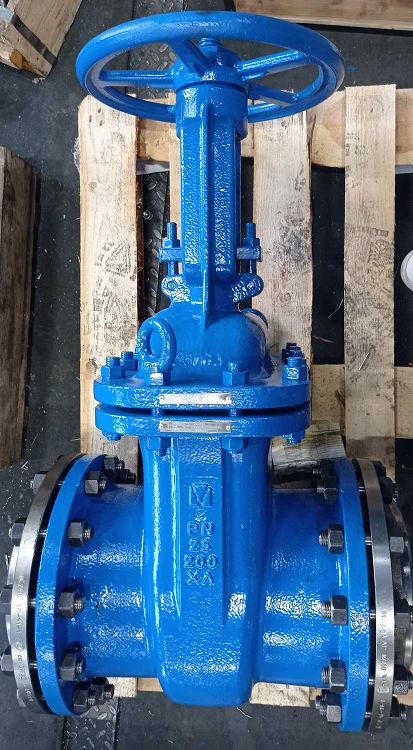 Steel Wedge Gate Valve with Rising Spindle and Handwheel PN 2.5 MPa DN 200