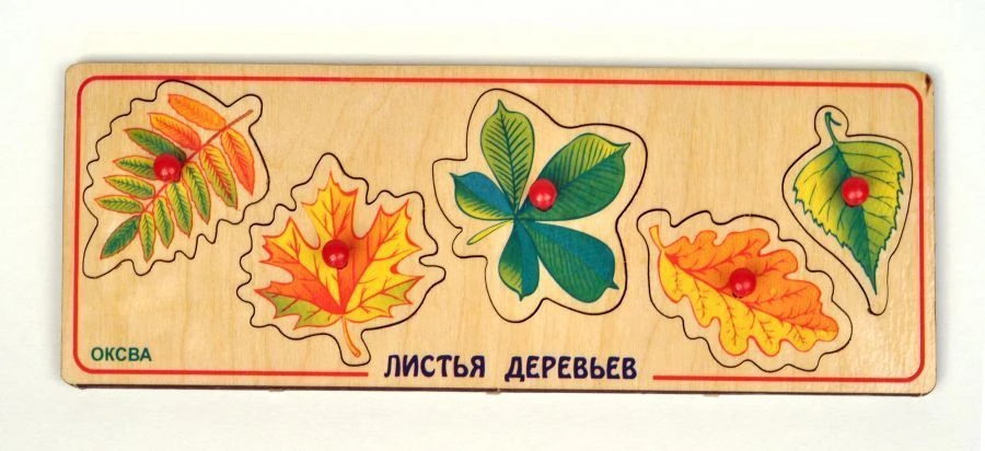 لوح الألغاز التعليمية "أوراق الأشجار