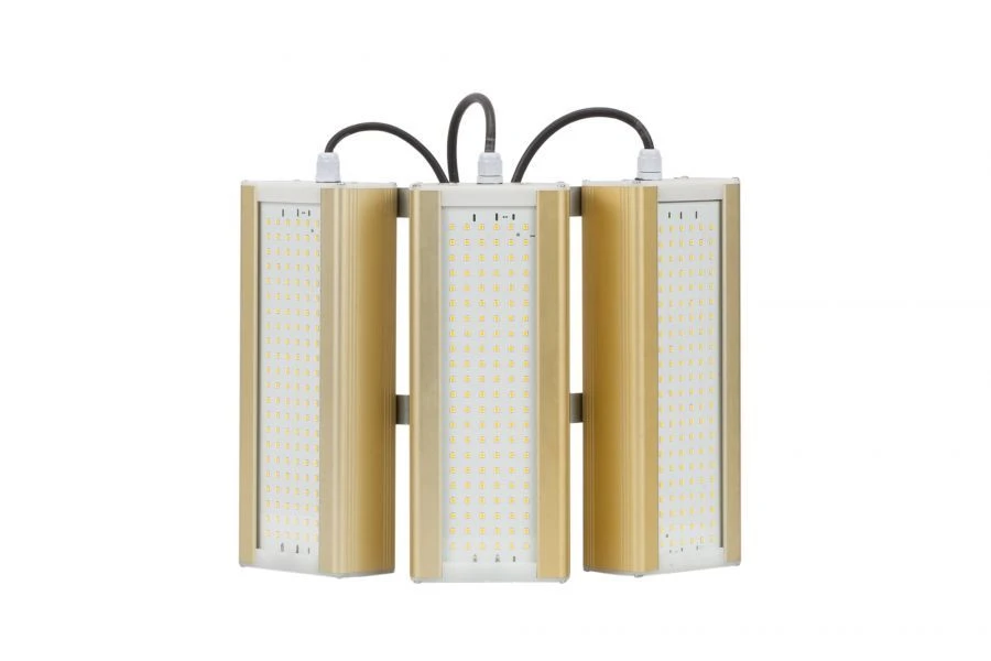 LED Module Gold Light Fixture, KM2-3, 4000K, 144W