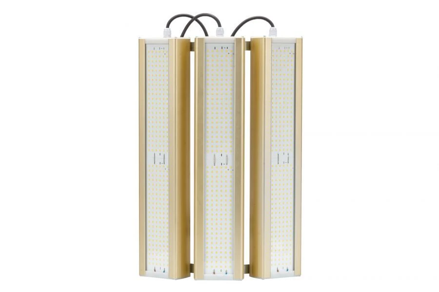 وحدة إضاءة LED جولد العالمية UM-3 3000 ك 288 واط