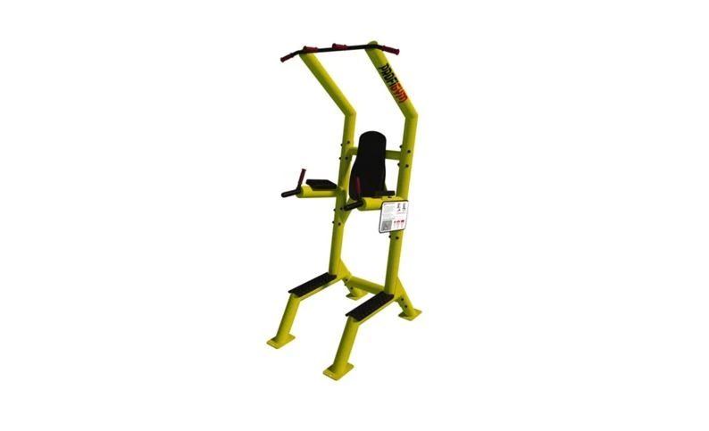 Outdoor Multi-Function Pull-Up and Dip Bar