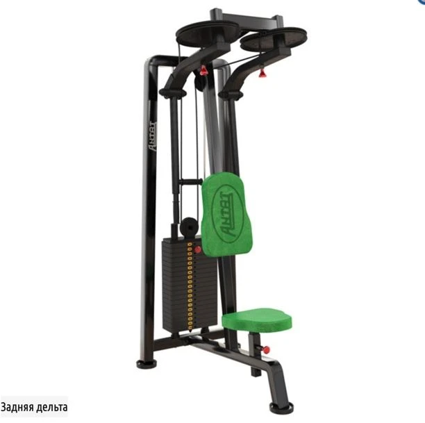 Rear Deltoid Muscle Trainer for Back and Upper Spine Strengthening