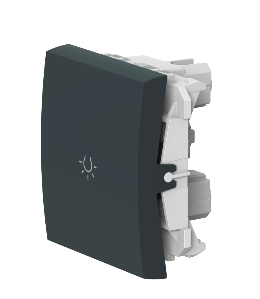 مفتاح ضغطة CADUCEUS ALING MODE، 10 أمبير، 250 فولت، أنثراسيت، مق. 6590.A