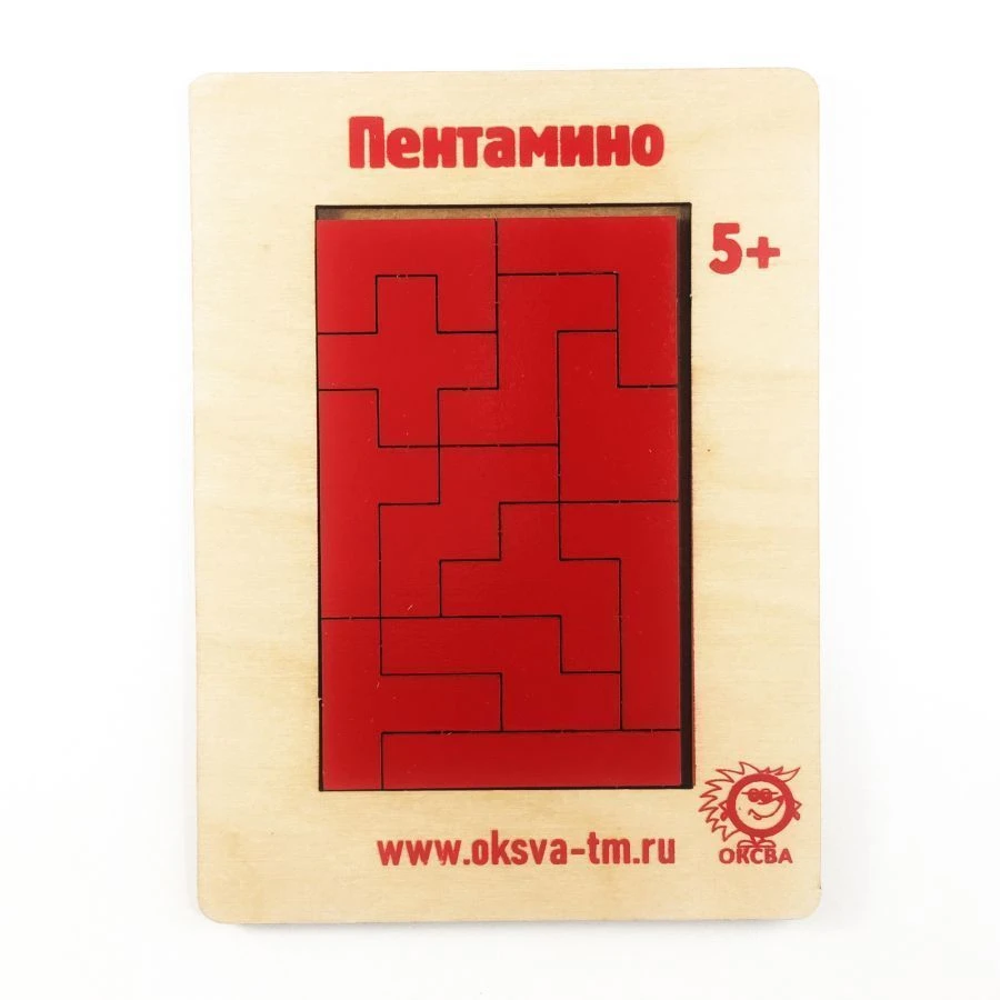 Pentamino Puzzle Educational Game