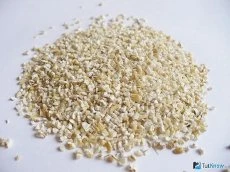 حبوب الشعير نوع اللؤلؤ