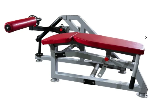 Free Weight Hamstring Curl Machine for Biceps Training