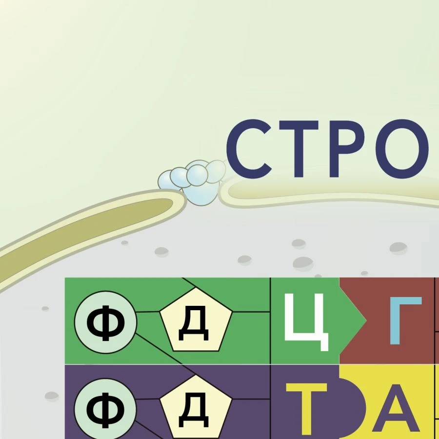 Magnetic Poster "Structure and Functions of Nucleic Acids" with Card Box and Methodological Recommendations