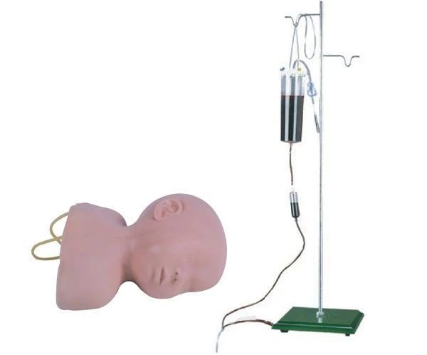 Infant Head Model for Venipuncture, Art. G1