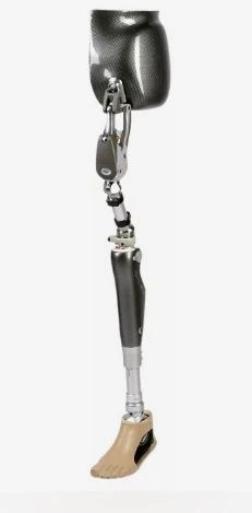 Modular Microprocessor-Controlled Hip Disarticulation Prosthesis