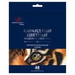 مجموعة أقلام رصاص ملونة "VISTA-ARTISTA" "Gallery" VGCP-48 - 48 لون