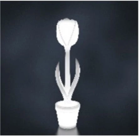 Elegant Tulip-Shaped Flora Light Fixture, Model 210