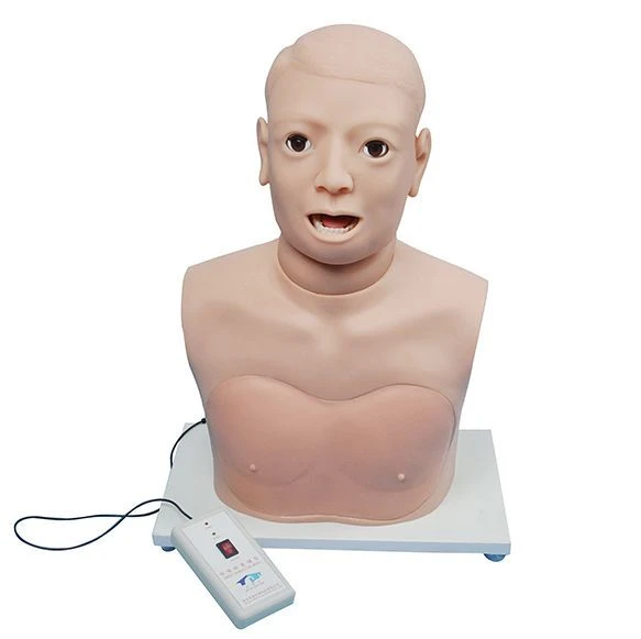 نموذج إلكتروني لفحص الحلق والحنجرة CS6279