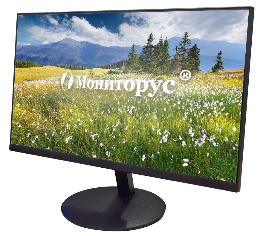 شاشة الكريستال السائل MONITORUS 2101/DVI