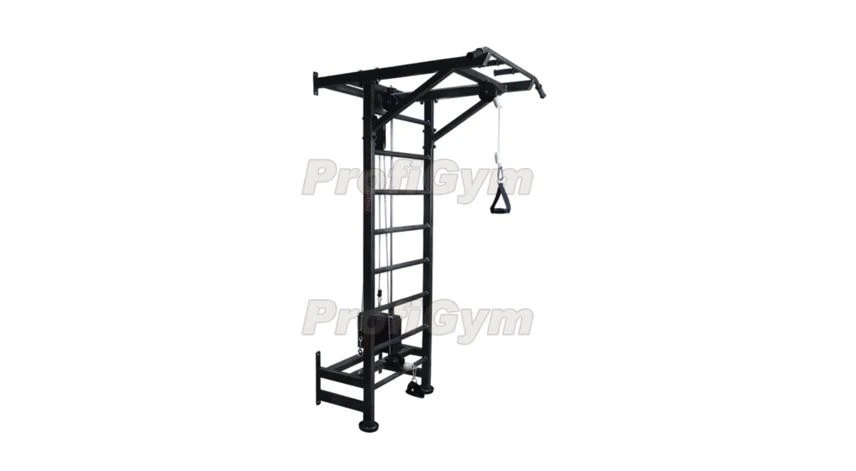 Swedish Wall with Weight Block Trainer
