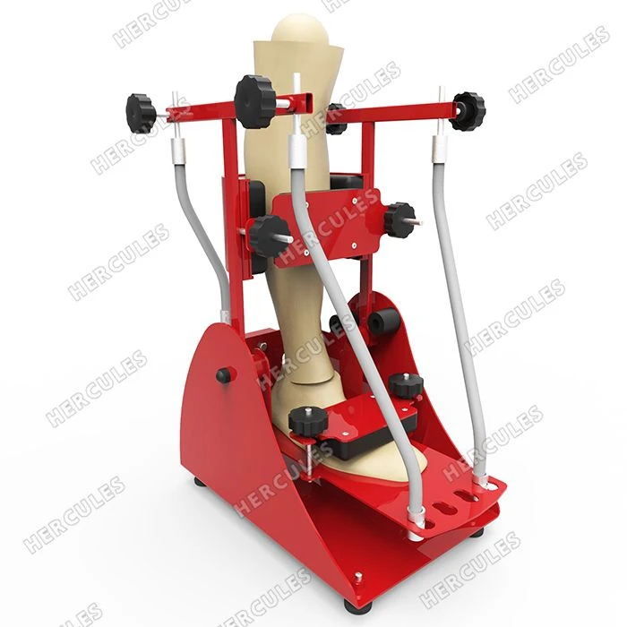 Ankle Joint Development Trainer Hercules 1.7