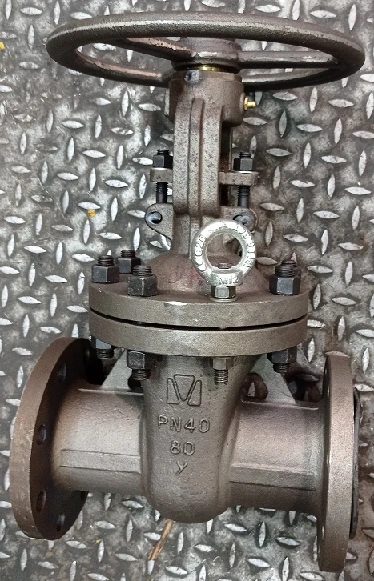 صمام بوابة فولاذي مدبب مع عمود متحرك وعجلة يد PN 4.0 MPa DN 80