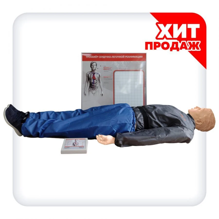 دمية تدريب CPR كاملة الحجم T1005 مع قاعدة ضوئية ديناميكية "رومان