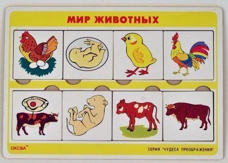 لعبة عجائب التحولات: عالم الحيوانات